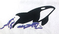 Orca photo